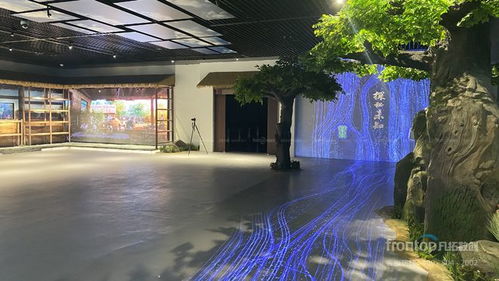 數(shù)字創(chuàng)意先鋒，國(guó)際榮耀加冕 凡拓?cái)?shù)創(chuàng)趙崇光榮獲idpa award top100國(guó)際影響力創(chuàng)新設(shè)計(jì)師大獎(jiǎng)